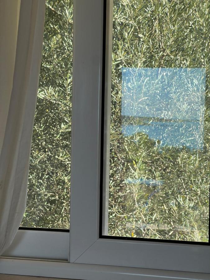 Alexandra'S Studios Sunset View Argostoli  Bagian luar foto